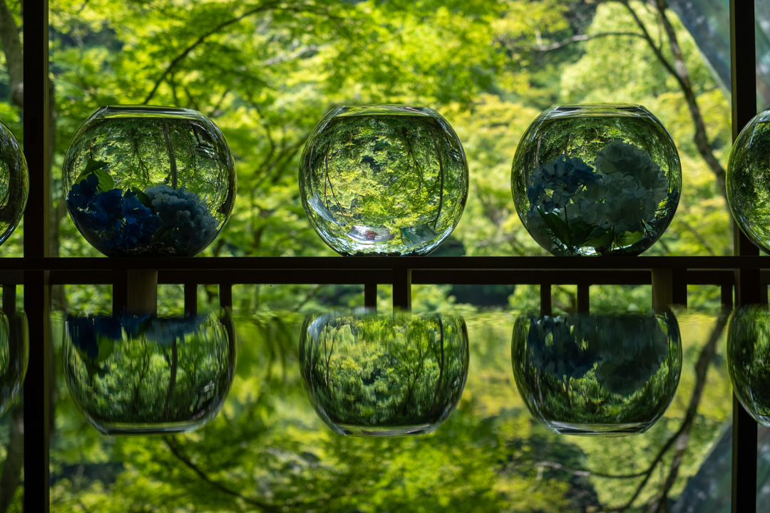Spherical glass bowls create interesting visual effects with the forest outside.