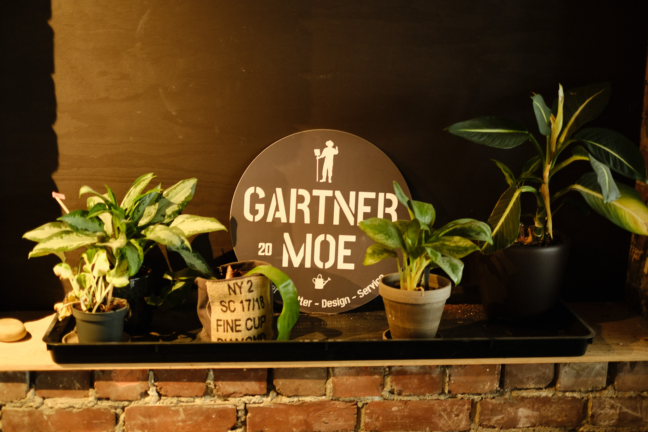 Plants by Gartner Moe