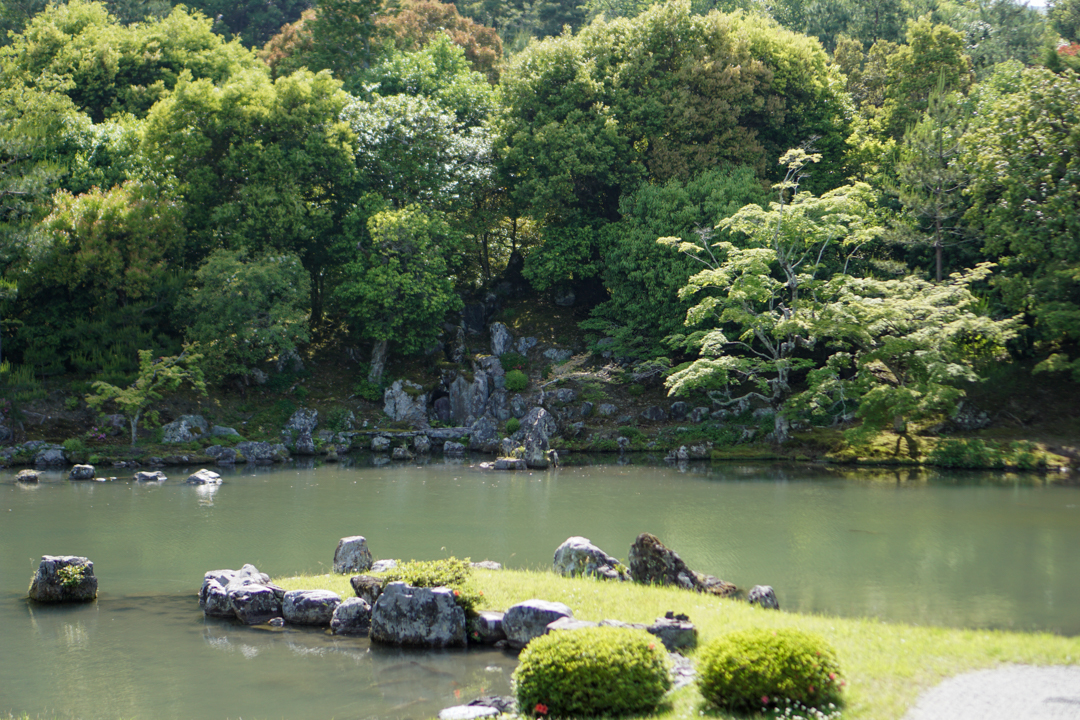 The rock formation is visible on the other side of the pond. Are you able to spot the carp stone?
